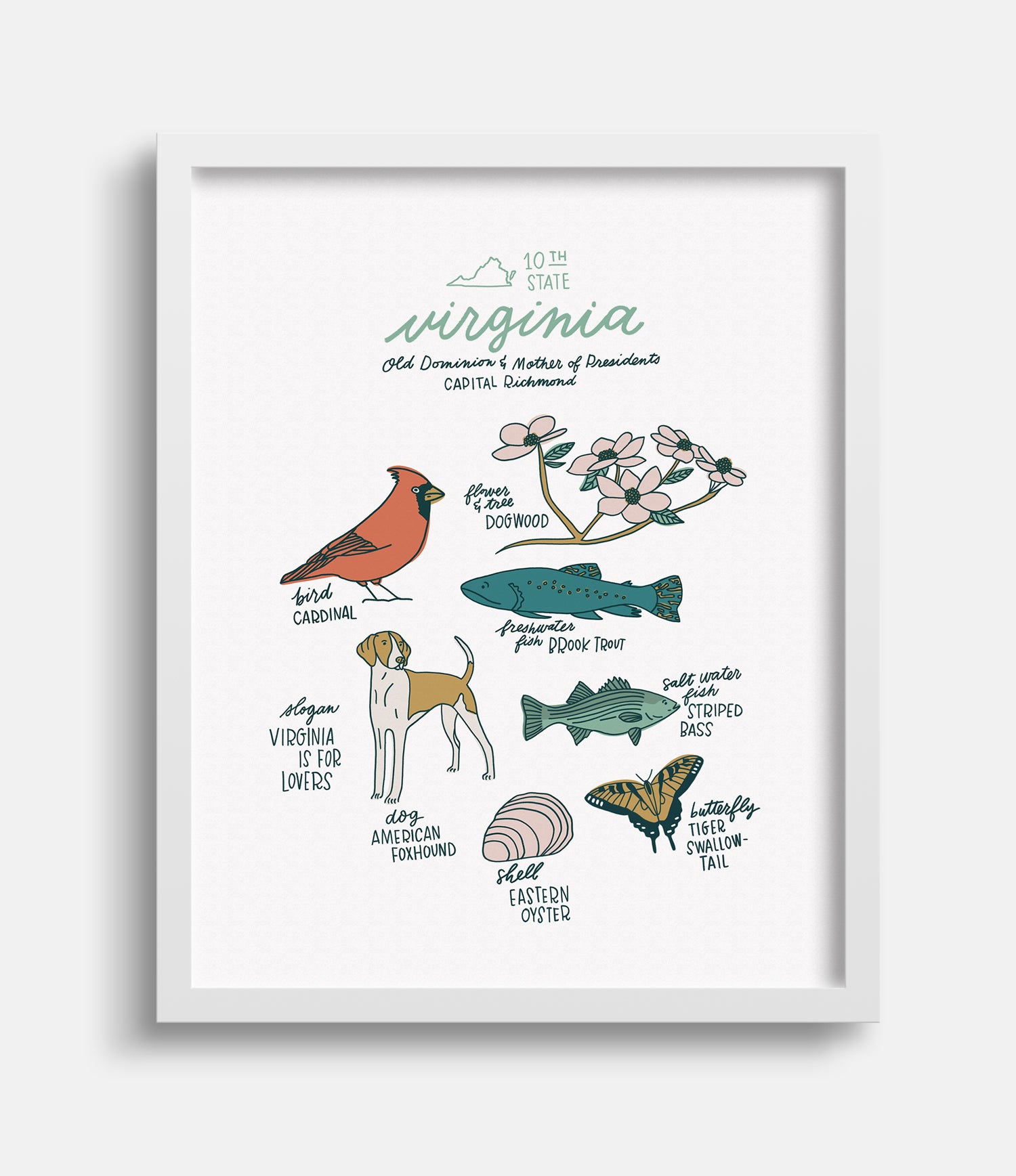 Virginia State Symbols Joanna Dee Studio virginia-state-symbols-joanna-dee-studio