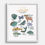 Colorado State Symbols