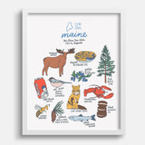 Maine State Symbols