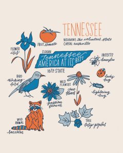 Tennessee State Symbols Art Print