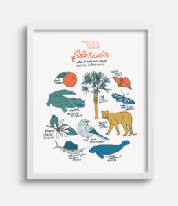 Florida State Symbols Art Print